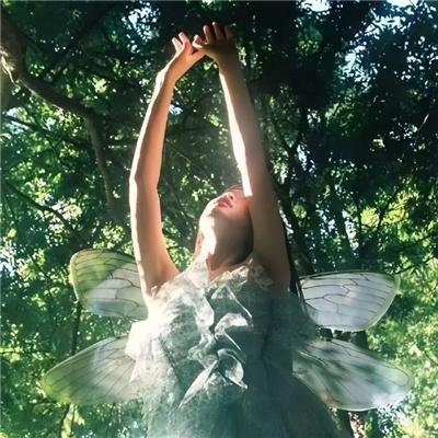 不可遗忘第二季