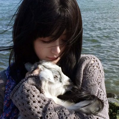 穿书之炮灰变成福星小狼崽